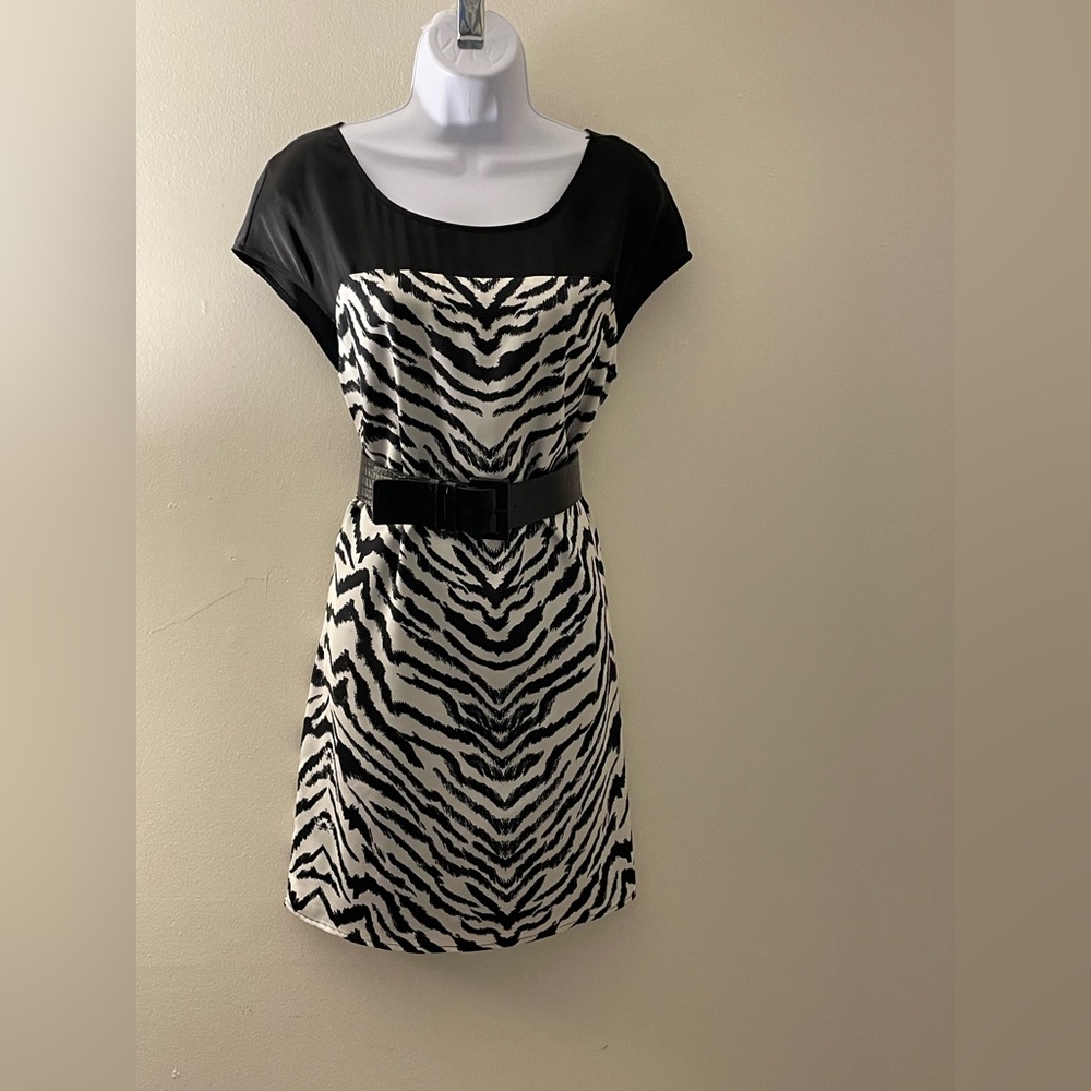 Express: Zebra Print Dress - image 1